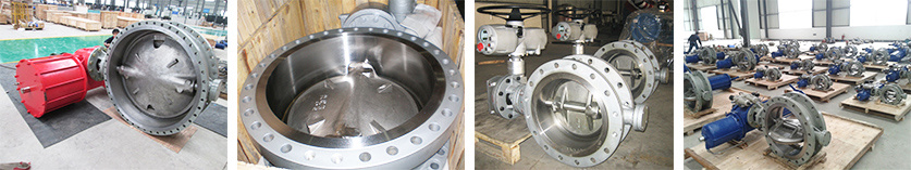 High Performance Butterfly Valves